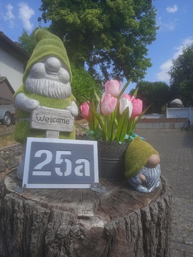 ショッテンCasa Vogelsbergアパートメント エクステリア 写真