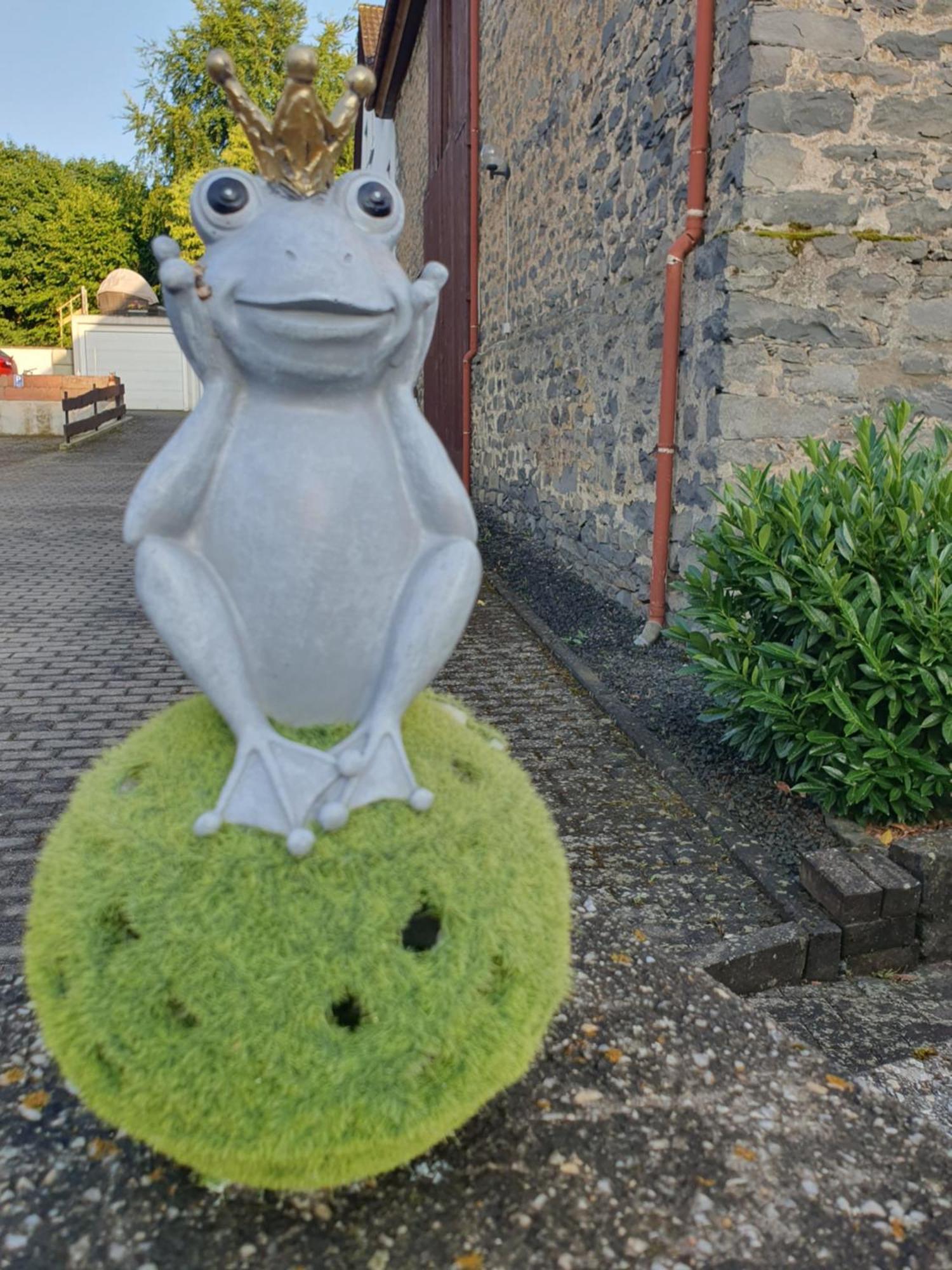 ショッテンCasa Vogelsbergアパートメント エクステリア 写真
